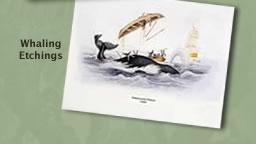 Vintage Original Authentic Whaling Prints