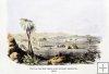 View of the southern site of Oahu from Ewa, 1848 View of the southern site of Oahu from Ewa, 1848