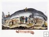 A whale female and the windlais
