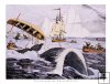 The danger of Whale hunting, c1833 The danger of Whale hunting, c1833