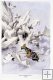 The ice breaking up, c. 1820 The ice breaking up, c. 1820