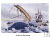 The perils of whale hunting c.1820